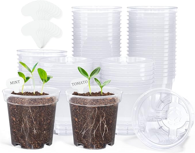 homenote Clear Nursery Pots for Plants,3 Inch Plant Pot for Planting Plastic Seedling with Drainage Holes Seed Starter Flower High Transparency with 20 Labels (60 Pack) by HOMENOTE