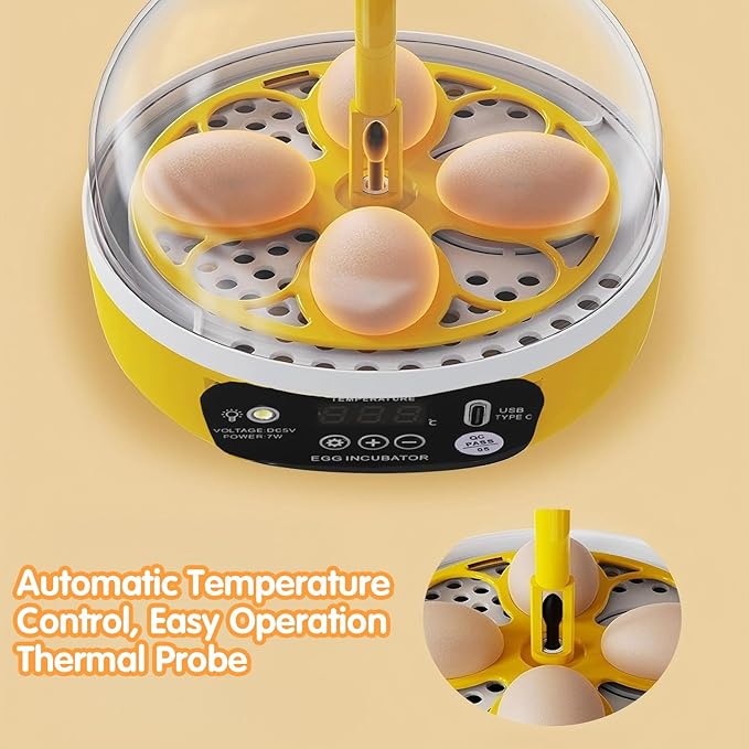 Tissting 4 Eggs Mini Incubator with Transparent Lid,7W Automatic Temperature Humidity Control,Household Small Poultry Hatching Machine,for Chickens Ducks Pigeons (Manual Turning) - Image 9