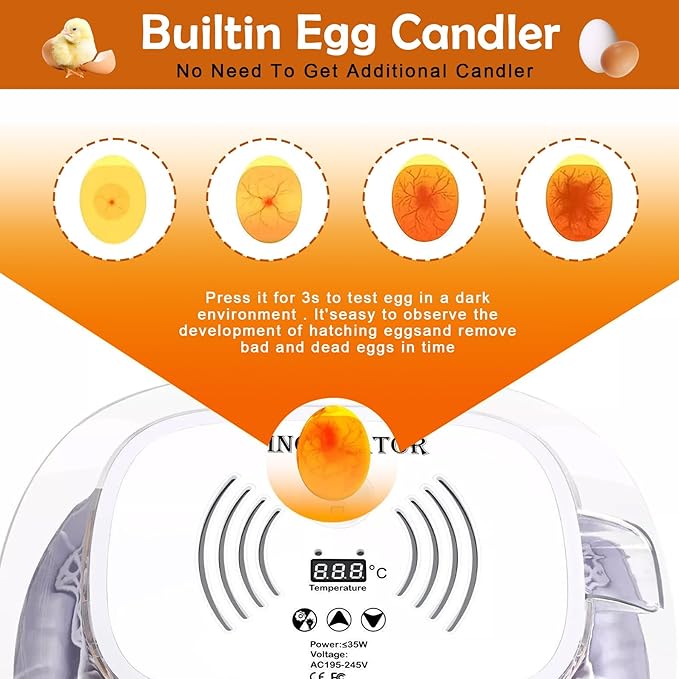 16 Egg Incubator with Automatic Egg Turning and Humidity Control,360 Degree View with Clear Window, Incubators for Hatching Eggs, Chicken, Ducks, Goose, Pigeon, Quail, Parrot - Image 5