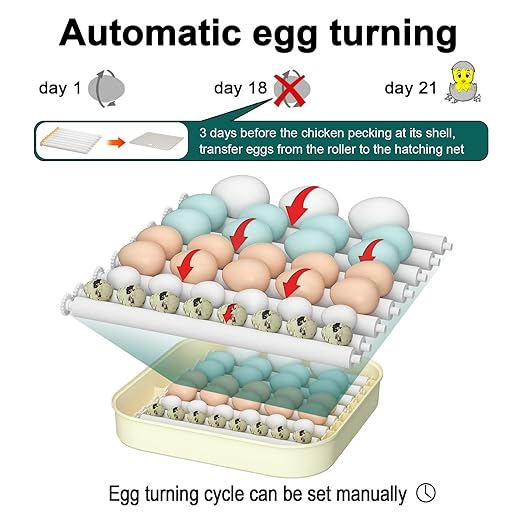 35 Egg Incubator with Automatic Egg Turning and Humidity Control, Incubator for Chicken Eggs, Quail, Duck Eggs, with Egg Candler - Image 3