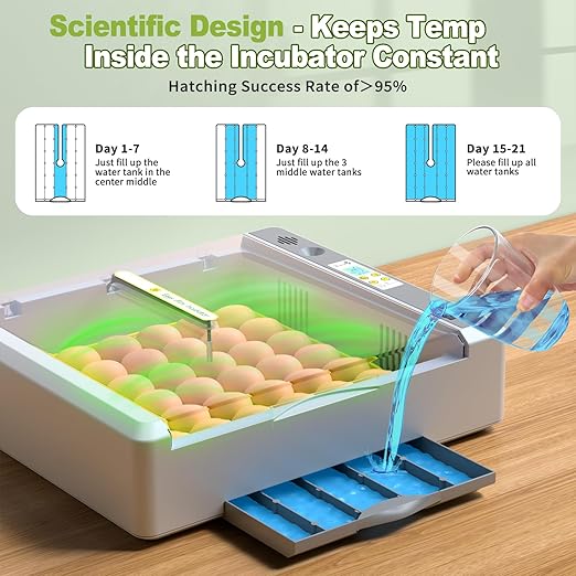 36 Eggs Incubator for Hatching Chicken/Goose/Quail/Duck/Turkey Eggs, 360° View Incubator with Automatic Egg Turning/Humidity Control/Low Humidity Alarm/Adjustable Tray, for Beginner/Farm/Teaching/Home - Image 4