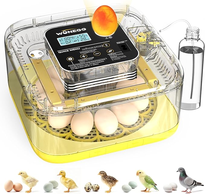 Incubator for Hatching Eggs, 12 Eggs Incubator with Automatic Egg Turning, Temperature & Humidity Control, LED Egg Candler, Incubation Days Display, for Chicken, Duck, Quail, Parrot Bird Eggs by WONEGG