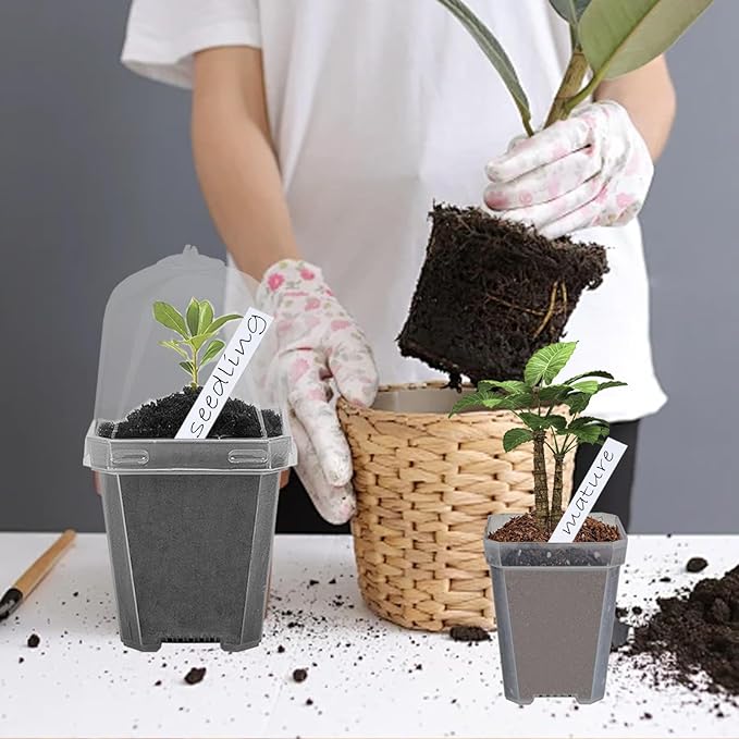Hyuetrsa 30 Sets Plant Nursery Pots with Humidity Domes, 3" Plastic Gardening Pot with 30 Pcs Labels, Clear Seed Starting Pot Planter Containers with Drain Holes for Seedlings Vegetables Succulents - Image 7