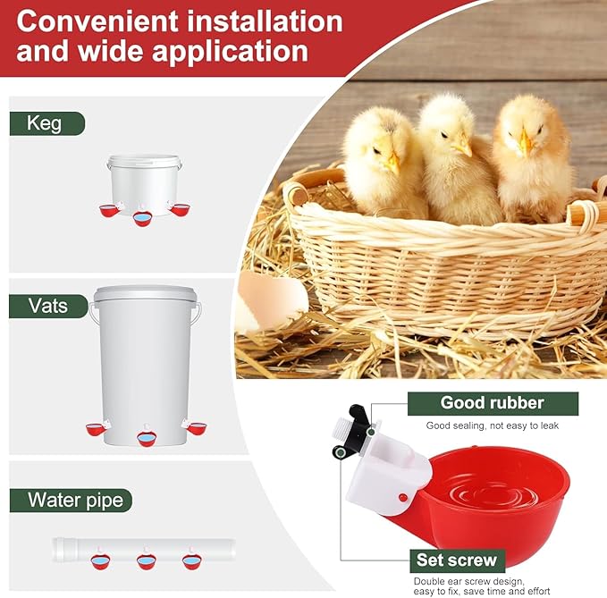 Incubators for Hatching Eggs, Chicken Waterer Cups, Automatic Egg Turner Holds 12 Eggs, Smart Incubator 360° Clear Window with Temperature Display Egg Candler for Small Poultry Chickens Ducks Quails - Image 4