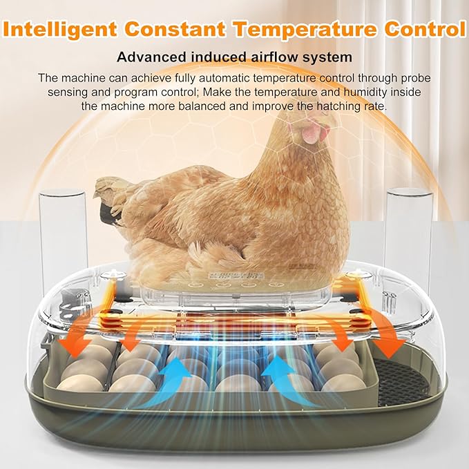 24 Egg Incubators for Hatching,Automatic Egg Turning and Temperature Control Humidity Display,Hatch Day,Automatic Water Refill,360° Viewing for Chicken Quail Duck - Image 4