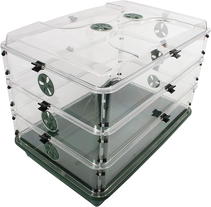 EarlyGrow 95457 24" x 15" x 16.75" Domed Propagator, Green, 3 Side Extenders and Locking Clip Set by EarlyGrow
