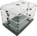 EarlyGrow 95457 24" x 15" x 16.75" Domed Propagator, Green, 3 Side Extenders and Locking Clip Set by EarlyGrow