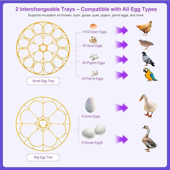18 Egg Incubator for Hatching Eggs – With Automatic Egg Turning, Temp/Humidity Control, Egg Candler, Incubator Chicken, Duck, Goose, Quail, Parrot, Pigeon – For Home Farm Science Class Lab - Image 6