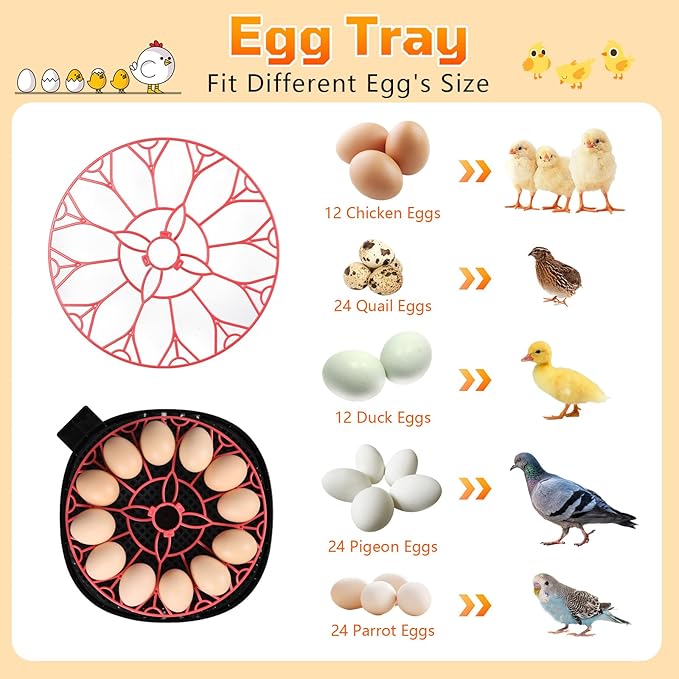 12-Egg Incubator, Automatic Egg Turning Function, Humidity Control, External Water Bottle for Watering, 360° Observation, Suitable for Chickens, Ducks, Geese, and Quails - Image 7