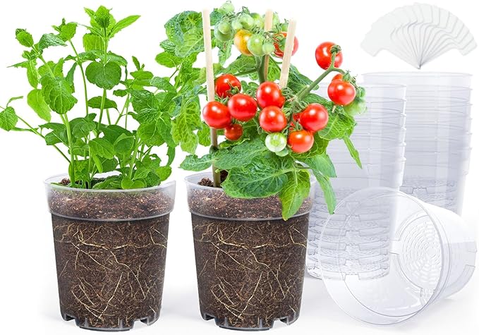homenote Clear Nursery Pots for Plants,6.7 Inch Plant Pot for Planting Plastic Seedling with Drainage Holes Seed Starter Flower High Transparency with 20 Labels (15 Pack) - Image 7