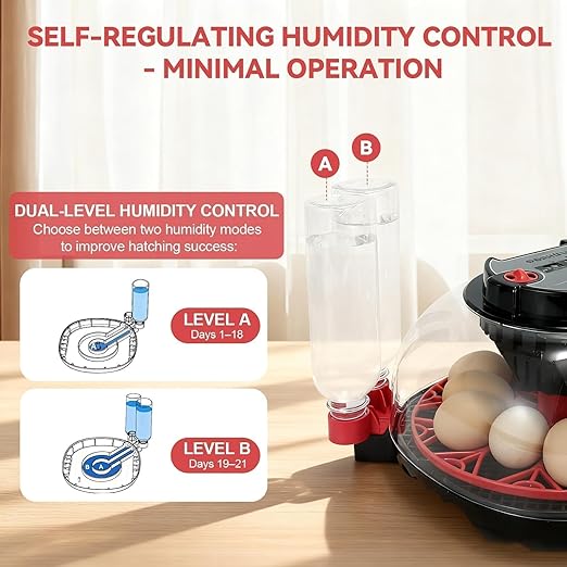 2nd Gen - 12 Egg Automatic Incubator, Two-Stage Humidity with Auto-Refill & Stable Temp Control, Auto Egg Turning, Candler, Real-Time Display for Hatching Chicken, Goose, Duck, Quail, Pigeon - Image 2