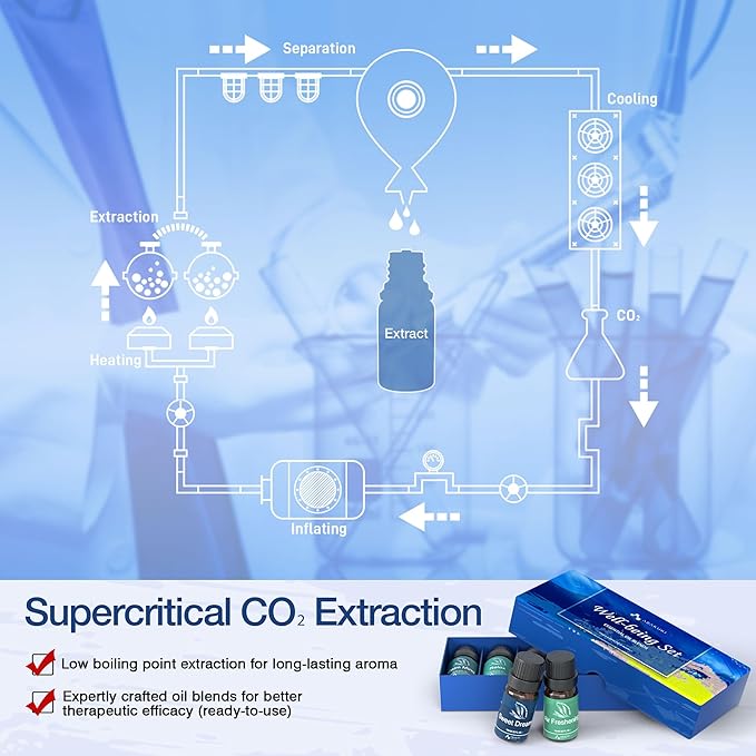 ASAKUKI Essential Oil Blends, Essential Oils for Diffusers for Home, Well-Being Kit- Calm Mind, Sweet Dreams, Happy, Relax, Air Freshening, Immunity for Aromatherapy, Humidifiers, Massage, 6x10ml - Image 7