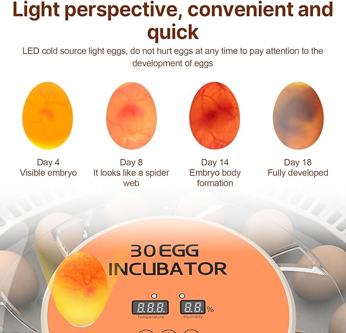 30 Eggs Incubator with Automatic Egg Turning with External Injection Water Bottle - Household Small Poultry Hatching Machine with Egg Candler Light for Chicken, Ducks, Pigeons,Bird (US Plug) - Image 8