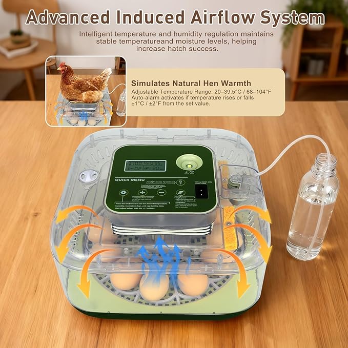 2026 New Auto 12-Egg Incubator for Beginners, Automated Incubation, Sensor-Based Precise Humidity & Temp Control, Custom-Interval Auto Turn & Auto Stop, Preset Incubation Days, Candler - Image 4