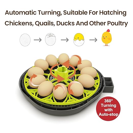 Incubators for Hatching Eggs 12 Egg Incubator with Automatic Egg Turning and Humidity Control,Egg Candler,Auto Water Replenishment,for Chicken Eggs and Quail Egg M12H - Image 3