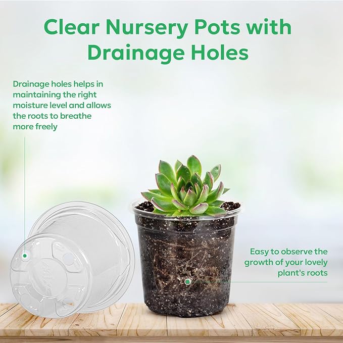 60 Packs 3.5 Inch Reinforced Clear Nursery Pots with Drainage Holes, Transparent Plastic Plant Pot Seedling Planter for Vegetable Propagation, Root Cutting, Seed Starting - Image 3