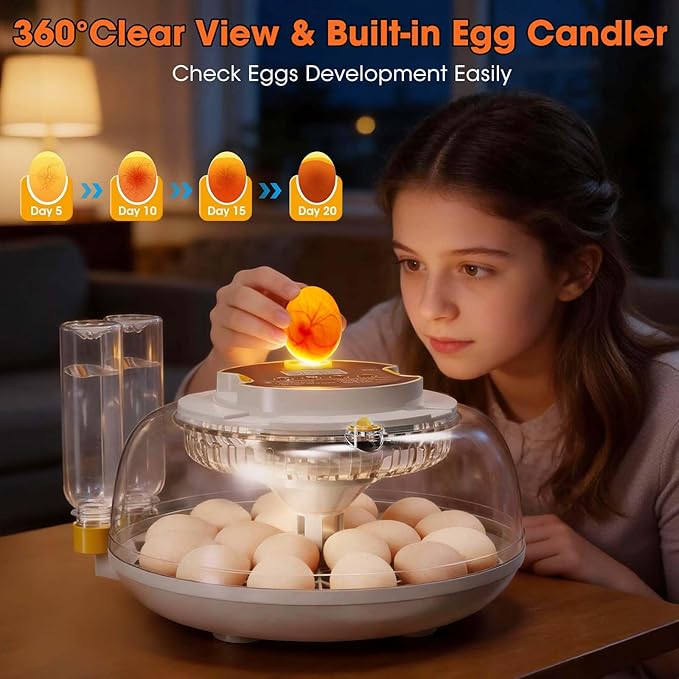 18 Egg Incubator with Automatic Egg Turning & Humidity Control, Built-in Egg Candler, 360° View Window & Dual-Size Trays for Chicken, Duck, Quail, Goose Eggs – Ideal for Farm, Classroom, Home - Image 5