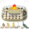 Incubators for Hatching Eggs,24 Eggs Capacity with Automatic Turning, Accurate Temp & Humidity Control, Egg Candler, Air Vent, and 360° Viewing for Chicken, Duck, Quail & Goose Eggs by Unknown