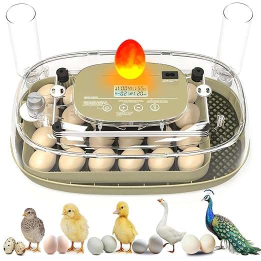Incubators for Hatching Eggs,24 Eggs Capacity with Automatic Turning, Accurate Temp & Humidity Control, Egg Candler, Air Vent, and 360° Viewing for Chicken, Duck, Quail & Goose Eggs by Unknown