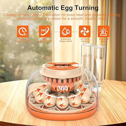 12 Egg Incubator, Automatic Turning with Temperature & Humidity Control, Egg Candler, 360 View with Air Vent, Auto Water Bottle Refill, Chicken Incubator for Hatching Eggs - Image 2