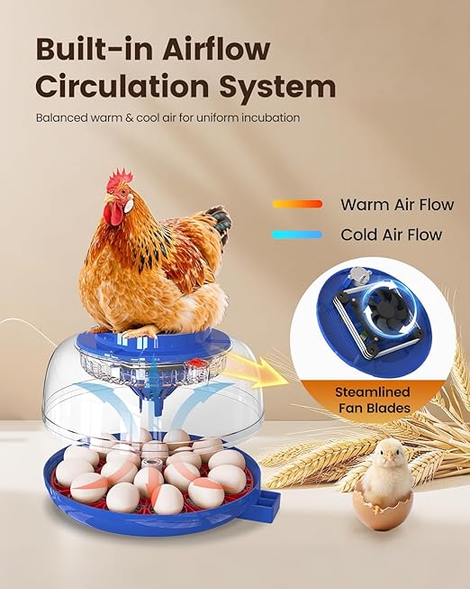 Incubators for Hatching Eggs, 18 Eggs Incubators with Egg Candler, Automatic Egg Turner, Temperature & Humidity Control, Full Viewing for Chicken, Duck, Quail, Goose, Parrot and Pigeon - Image 4