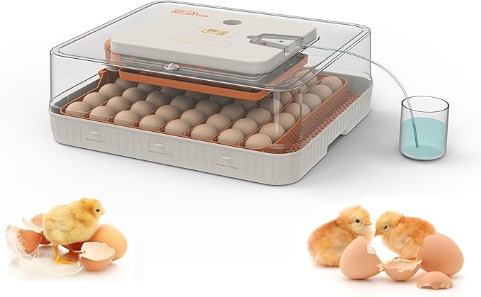 Egg Incubator for Hatching Eggs, Intelligent 56 Eggs Incubator with Temperature & Humidity Control, Automatic Egg Turning, Hatch Days & Egg Candler, Adjustable by Jinmuxilll