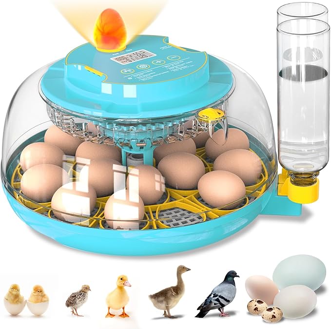 Incubators for Hatching Eggs, 18 Eggs Incubator with Automatic Egg Turning and Temperature Humidity Control, Egg Candler with 360° Viewing for Home, Farm, Classroom, Hatching Chicken, Duck,Quail,Goose by Unknown