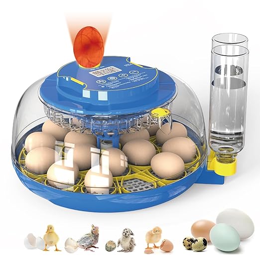 18 Egg Incubator with Automatic Egg Turning & Humidity Control - Perfect for Hatching Chicken, Duck, and Quail Eggs | 360° Viewing Window, Temperature Control, Ideal for Farm, Lab by VibeHaven