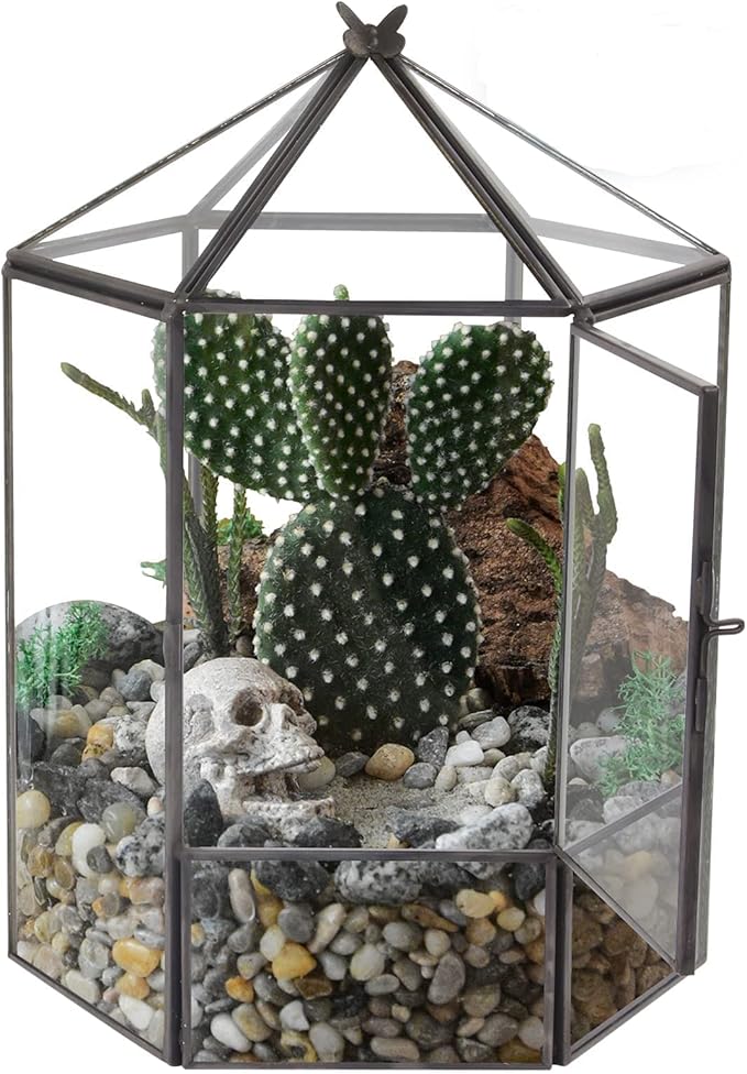 ELEGANTLIFE Glass Geometric Plant Terrarium,Succulent & Air Planter for Home Garden Office Decoration,No Plants(Black Hexagonal) - Image 2