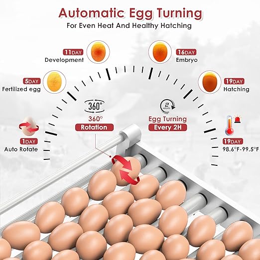 Egg Incubator with Automatic Egg Turning and Humidity Control 400 pcs,HHPPL Nurture Right 360 Incubator,More efficient incubators for Hatching Eggs,Hatching Chicken Duck Quail Bird - Image 5