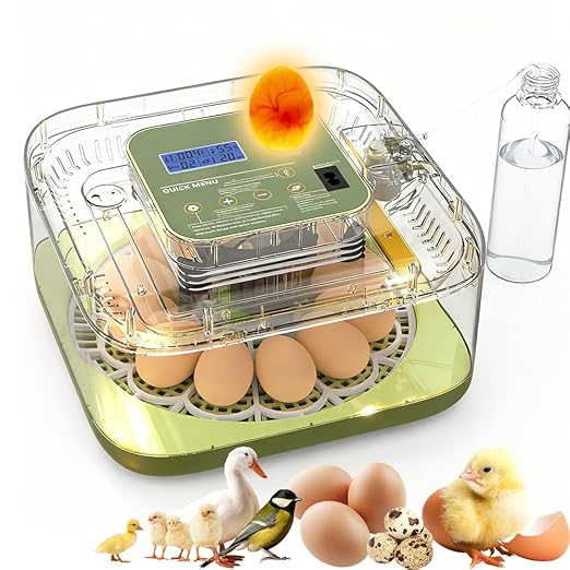 XOTTI Incubator for Hatching Egg, 12 Egg Incubators with Temperature and Humidity Control, Automatic Turner, Candler, 360° Viewing for Dry Hatch Chicken, Duck, Quail, Goose, Parrot and Pigeon by XOTTI