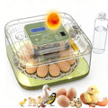 XOTTI Incubator for Hatching Egg, 12 Egg Incubators with Temperature and Humidity Control, Automatic Turner, Candler, 360° Viewing for Dry Hatch Chicken, Duck, Quail, Goose, Parrot and Pigeon by XOTTI