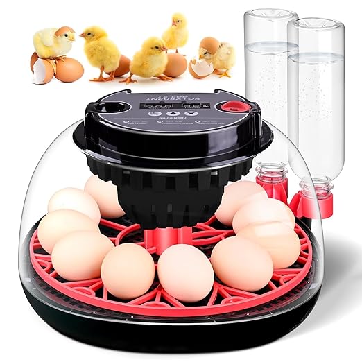 Egg incubators for Hatching Eggs, Automatic Egg Turning 12-24 Poultry Incubator with Temperature Control,Automatic Water Adding,℉ Display,360° View for Hatching Chickens, Duck,Quail,Goose Eggs (M12H) by Unknown