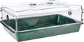 EarlyGrow 93774 Domed Propagator, 1 Height Extender, Green by EarlyGrow