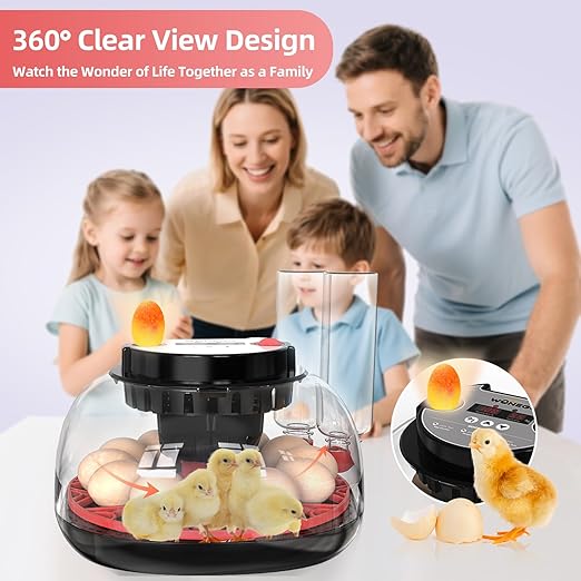 12 Egg Incubator for Hatching Chicken, Duck, Quail Eggs – 360° Visible Lid, Automatic Turning & Humidity Control, Built-in Egg Candler – Ideal for Home & Classroom Science Projects - Image 7