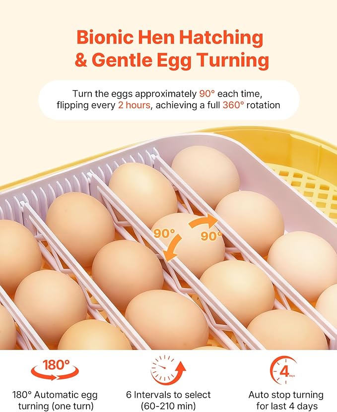 VEVOR 24 Egg Incubator, Automatic Egg Turner with LED Candler, Temperature & Humidity Control, 360° View Clear Window, Auto Water Refill, Poultry Eggs Incubators for Hatching Chicks Ducks Goose Quail - Image 4
