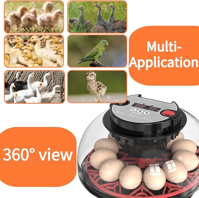 Egg Incubators for Hatching Eggs, Incubator for 12 Eggs Automatic Turning with Temperature Control+Humidity Display+Automatic Water Filling - Home Incubator for Quail Chicken Duck Pigeon - Image 7