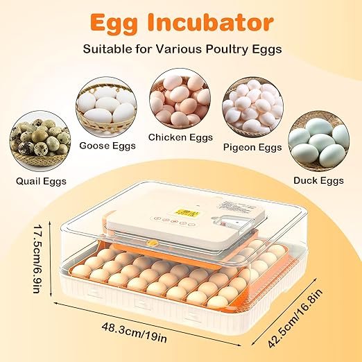56 Egg Incubator for Hatching Chicken, Egg Incubator with Automatic Egg Turning and Humidity Temperature Control, Egg Candler, Chicken Incubator for Ducks/Quail/Goose Farm House lab Class - Image 7