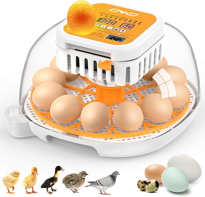 ONKO 12 Egg Incubator with Auto Temp & Humidity Control for Home, Farm, Classroom, Auto Egg Turner & Stop, External Water Refill, Air Vent, 360° Clear View, Hatching Chicken, Duck, Goose, Pigeon Eggs by ONKO