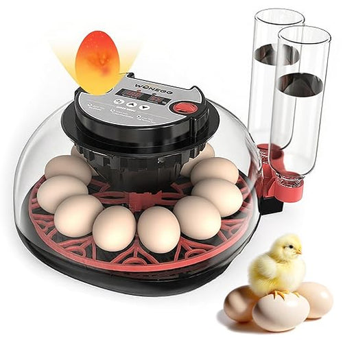 12 Egg Incubator for Hatching Eggs, Automatic Turner with Digital Temperature Humidity Control, 360° Clear View Lid, Auto Water Refill & Built-in Candler for Chicken Duck Quail Birds by AGOAL