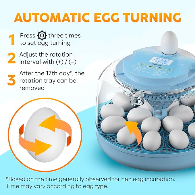 18 Egg Incubator with Automatic Egg Turning and Humidity Control – Egg Incubators for Hatching Eggs – Egg Candler, Water Bottle Refill, Air Vent, 360° View – Incubadora de Huevos de Gallina - Image 5