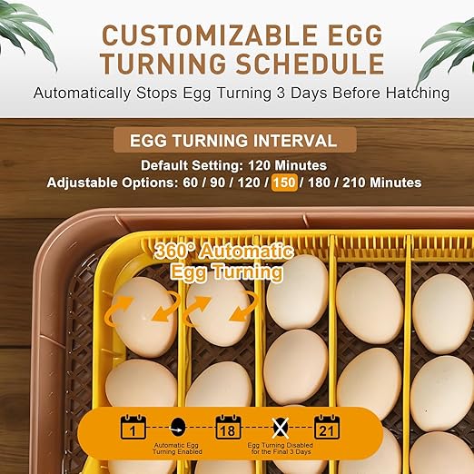 4th Gen – 56 Egg Fully Automatic Incubator, 2026 UpgradedDesign, Intelligent Sensor-Based Humidity & Temp Control, Custom Days, Adjustable Auto Turning & Stop, Chick Separator, Flexible Egg Spacing - Image 5