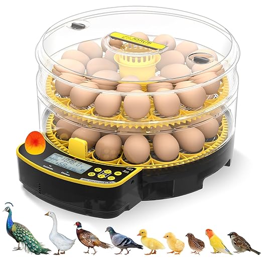 Egg Incubators for Hatching Eggs, Double-Layer 48 Egg Incubator with Temperature and Humidity Control, Egg Candler, Automatic Egg Turner, Clear Window Incubator for Chicks Duck Quail Eggs by JUJOJB