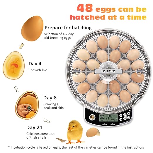 48 Egg Incubator with Automatic Egg Turning and Humidity Control, Intelligent Egg Incubator with Automatic Temp. Adjustment - Image 7