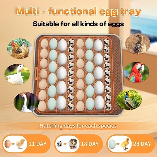 4th Gen – 56 Egg Fullly Automatic Incubator, 2026 Upgraded Design, Intelligent Sensor-Based Humidity & Temp Control, Chick Separator, Custom Days, Adjustable Auto Turning & Stop, Flexible Egg Spacing - Image 6