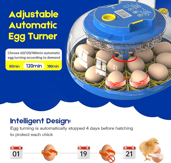 Egg Incubator for Hatching Chicks, 18 Eggs Automatic Egg Turner Multifunctional Smart Incubator 360° Clear Window with Temperature & Humidity Control, Egg Candler for Poultry Chickens Ducks Quails - Image 3