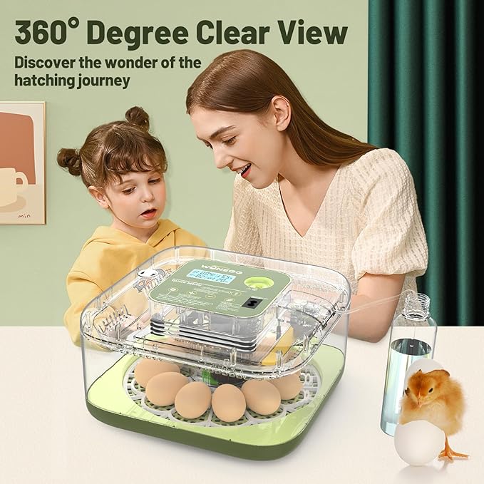 12 Egg Incubator with Automatic Egg Turning and Humidity Control, LED Egg Candling Light, Customized Incubation Days, Incubators for Hatching Eggs, Chicken Quail Parrot Pigeon Birds, Green - Image 8