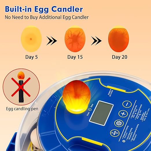 18 Egg Incubator Automatic Egg Turner Temperature & Humidity Control, Incubators for Hatching Eggs, Chicken, Ducks, Goose, Pigeon, Quail, Parrot Incubator Farm,Lab,Science Classroom,Home (Blue-18 Egg) - Image 4