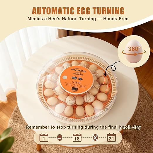 2nd Gen 30 Egg Incubator, Wide-Range Humidity with Manual Water Fill, Stable Temp Control, Dual-Size Egg Slots, Auto Egg Turning, Candler, Real-Time Display for Hatching Poultry Eggs - Image 2