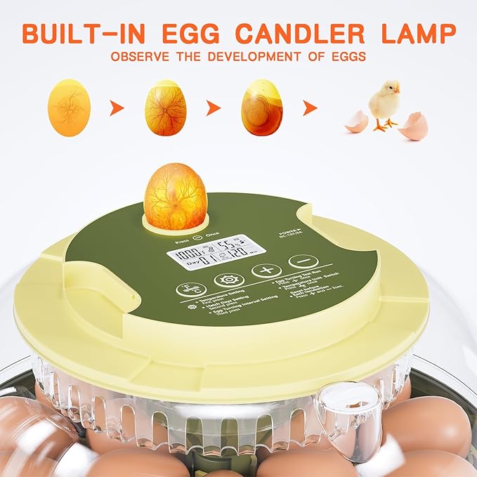 18 Egg Incubator, Incubator for Hatching Eggs, Automatic Egg Turning and Humidity Temperature Control, Egg Candler, Hatch Day, Automatic Water Refill, for Chicken, Ducks, Quail, Goose, Pigeon - Image 4